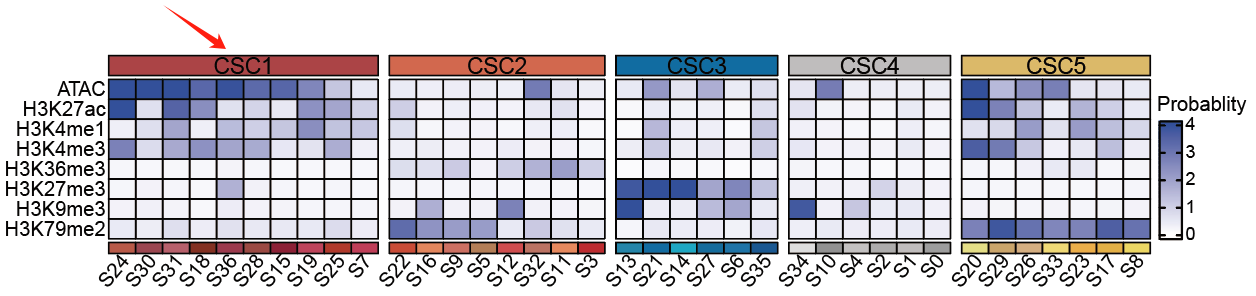 CSC1 contain promoter-like and enhancer-like clusters